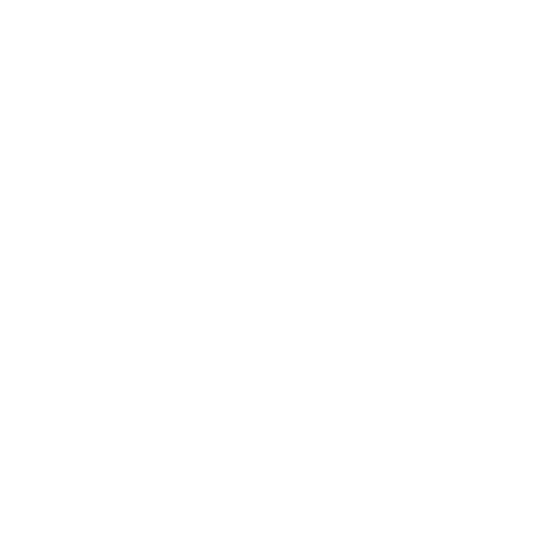 Software Development Solutions